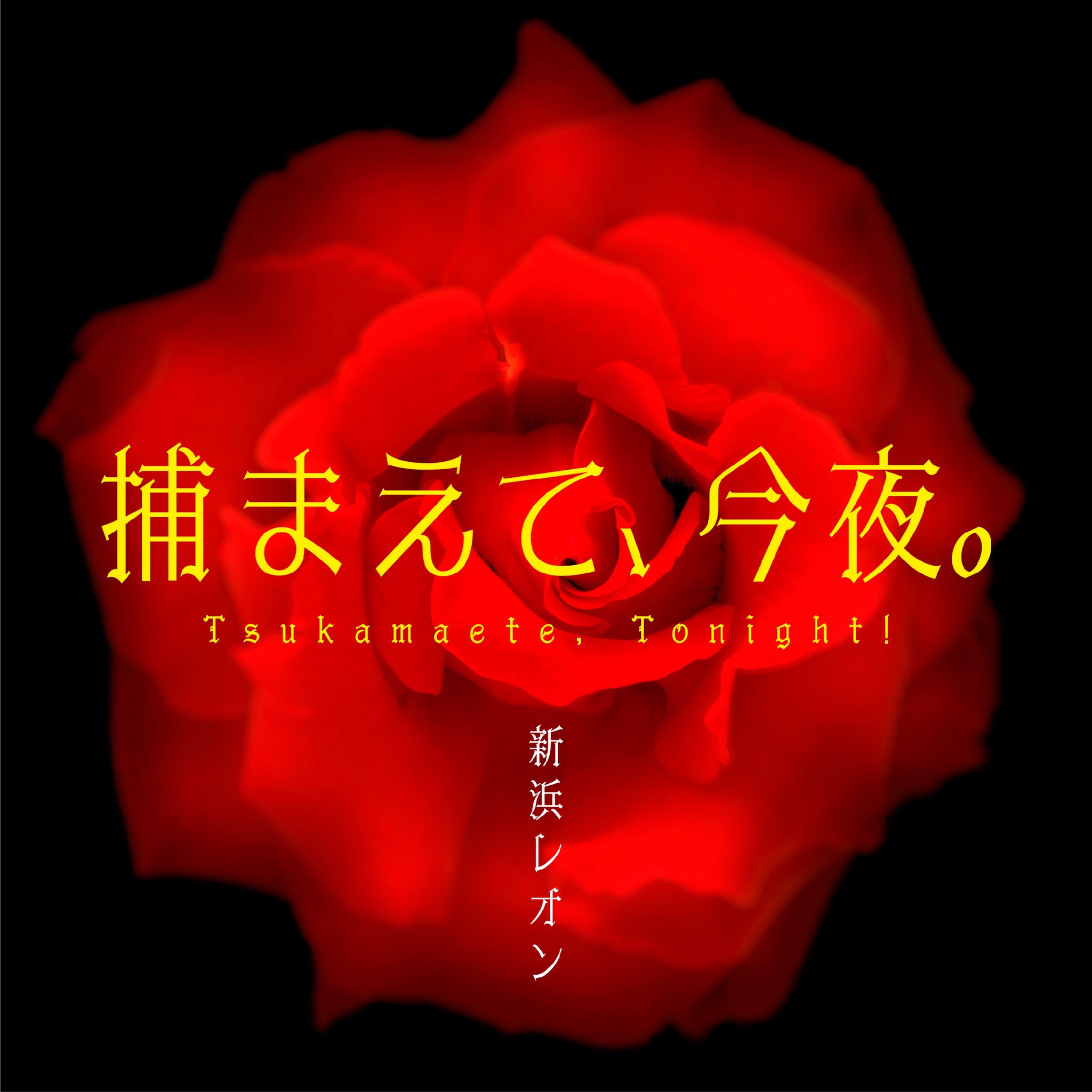 Opening Hanzawa